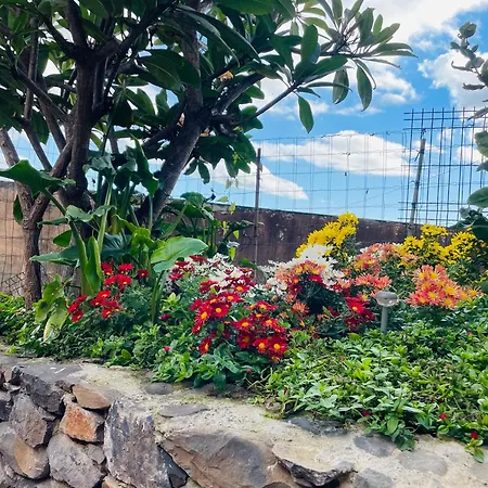 Cozy House Гостевой дом 3*