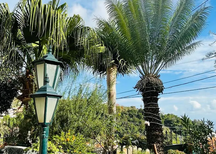 Cozy House Φουνκάλ