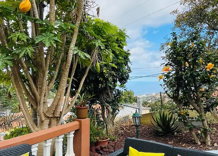 Affittacamere Cozy House Funchal (Madeira)