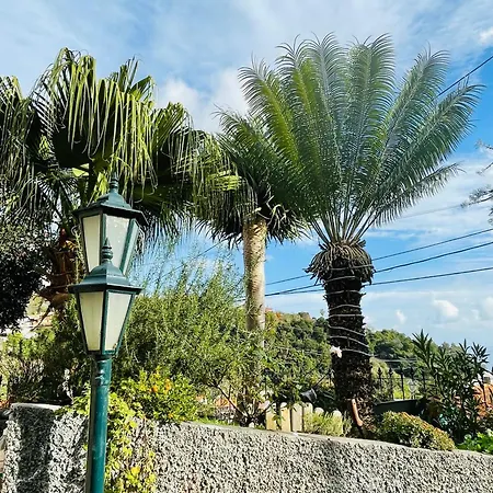 Cozy House 丰沙尔