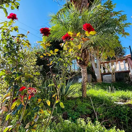 Casa de hóspedes Cozy House