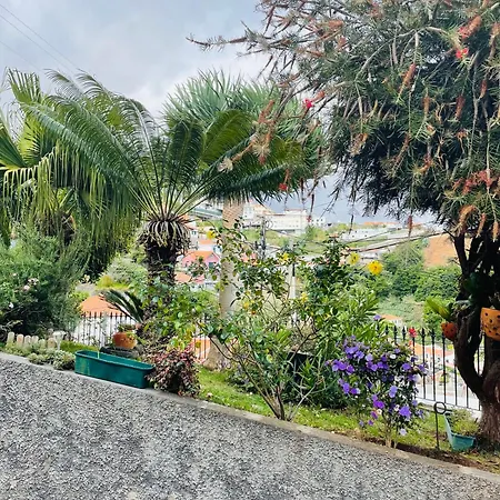 Cozy House Casa de hóspedes 3*