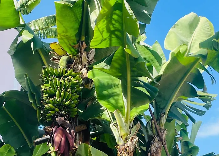 Affittacamere Cozy House