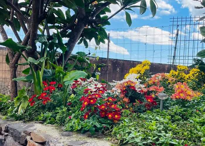 Cozy House Affittacamere 3*